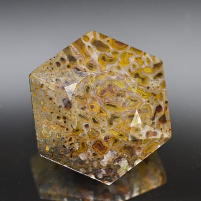 Dinosaur bone 5.48 ct.