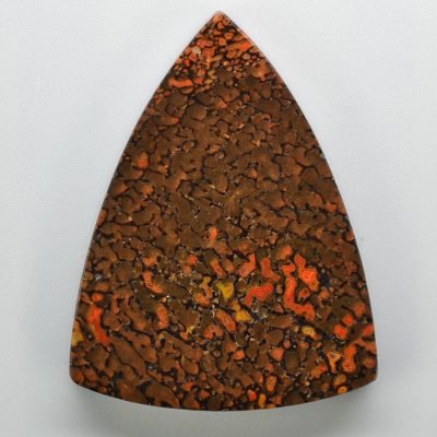 Dinosaur-bone-51.51-ct.jpg