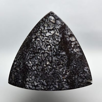 Dinosaur-bone-54.35-ct-1.jpg