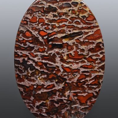 Dinosaur-bone-59.74-ct.jpg