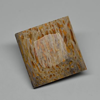 Dinosaur-bone-6.85-ct.jpg
