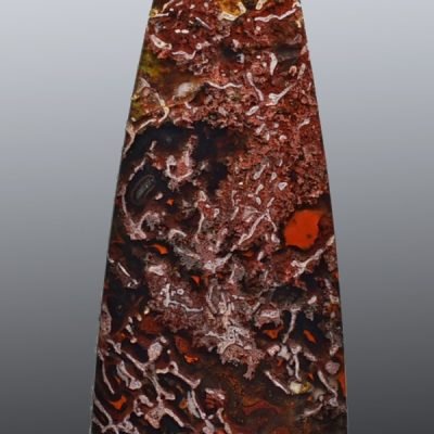 Dinosaur-bone-67.89-ct.jpg