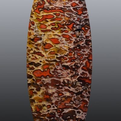 Dinosaur-bone-72.67-ct.jpg