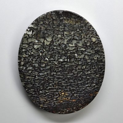 Dinosaur-bone-78.66-ct.jpg