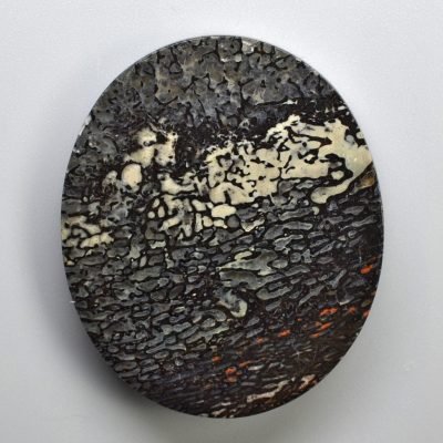 Dinosaur-bone-83.30-ct.jpg