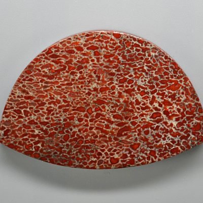Dinosaur-bone-88.02-ct.jpg