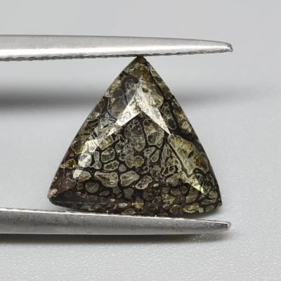 Dinosaur-bone-plesiosaurus-5.34-ct.jpg