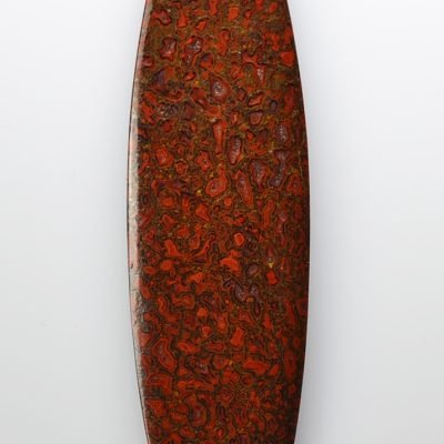 Dinosaur-bone76.07-ct.jpg
