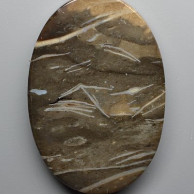 Discocyclina-Marginata-feather-agate-35.99-ct.jpg