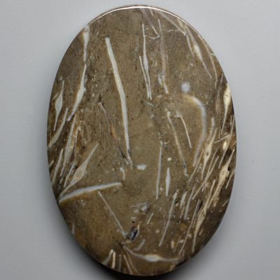 Discocyclina-Marginata-feather-agate-39.53-ct.jpg