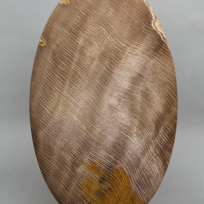 Fossil-Carya-Hickory-wood-136.36-ct.jpg