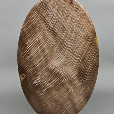 Fossil-Carya-Hickory-wood-88.05-ct.jpg