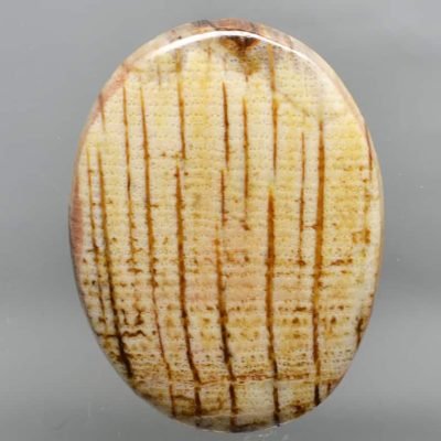 Fossil-Carya-Oak-wood-42.34-ct.jpg