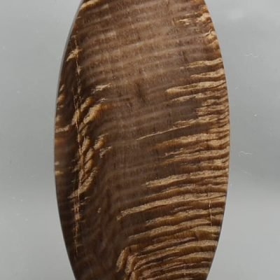 Fossil-Carya-Oak-wood-69.13-ct.jpg