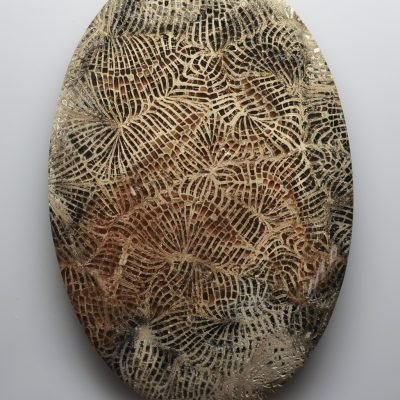 Fossil-coral-152.36-ct.jpg