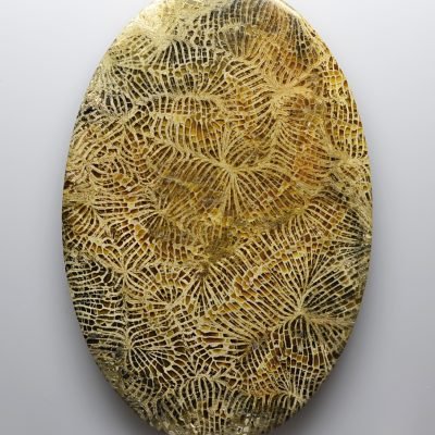 Fossil-coral-160.95-ct.jpg