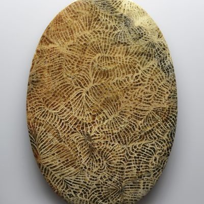 Fossil-coral-170.38-ct.jpg