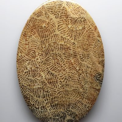 Fossil-coral-186.88-ct.jpg