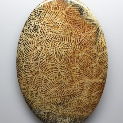 Fossil-coral-197.60-ct.jpg