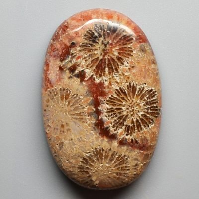 Fossil-coral-32.16-ct.jpg