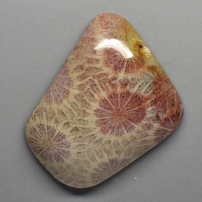 Fossil-coral-56.54-ct.jpg