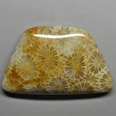 Fossil-coral-57.86-ct.jpg