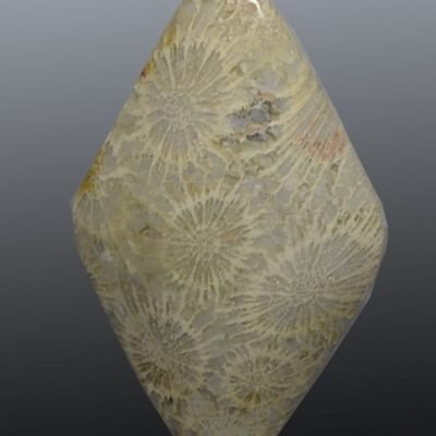 Fossil-coral-63.42-ct.jpg