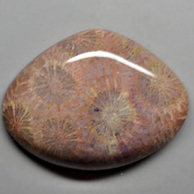 Fossil-coral-66.81-ct-.jpg