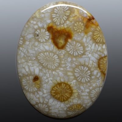 Fossil-coral-74.04-ct-Copy.jpg