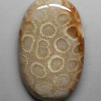 Fossil-coral-80.88-ct-.jpg