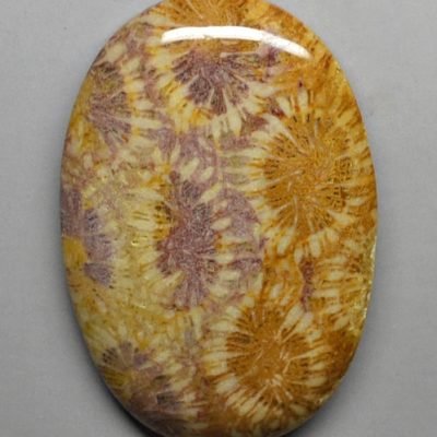 Fossil-coral-80.90-ct.-Copy.jpg