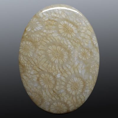 Fossil-coral-82.24-ct.jpg