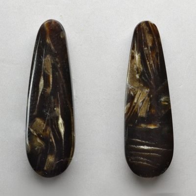 Fossil-foraminiferous-14.87-ct.jpg