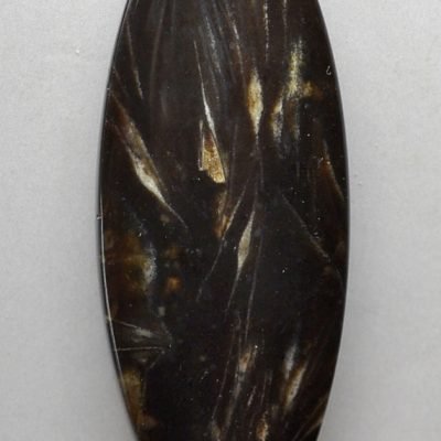 Fossil-foraminiferous-20.04-ct.jpg