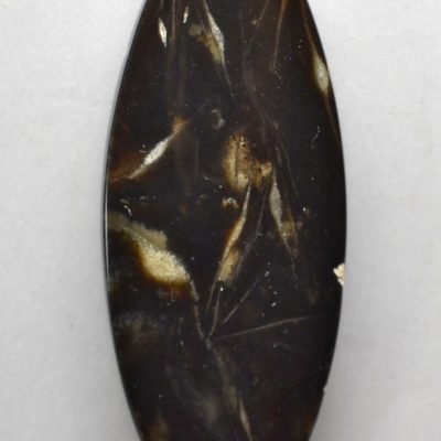 Fossil-foraminiferous-20.88-ct.jpg