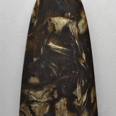Fossil-foraminiferous-37.62-ct.jpg