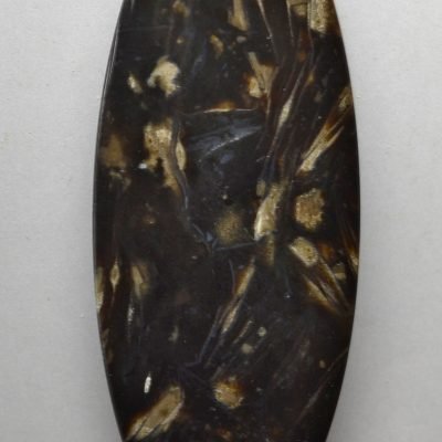 Fossil-foraminiferous-48.44-ct.jpg
