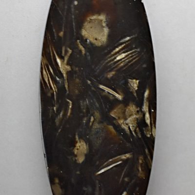 Fossil-foraminiferous-52.50-ct.jpg