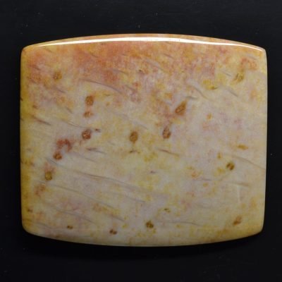Fossil-palm-wood-165-ct.jpg