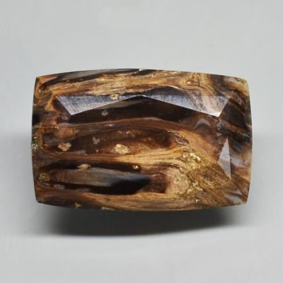 Fossil-pine-cone-Araucaria-mirabilis-13.10-ct.jpg