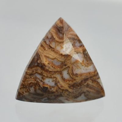 Fossil-pine-cone-Araucaria-mirabilis-2.48-ct.jpg