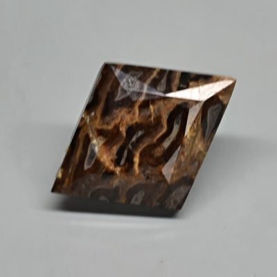 Fossil-pine-cone-Araucaria-mirabilis-3.44-ct.jpg