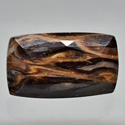 Fossil-pine-cone-Araucaria-mirabilis-3.96-ct.jpg