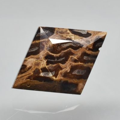 Fossil-pine-cone-Araucaria-mirabilis-5.40-ct.jpg