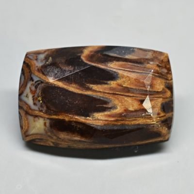 Fossil-pine-cone-Araucaria-mirabilis-6.01-ct.jpg