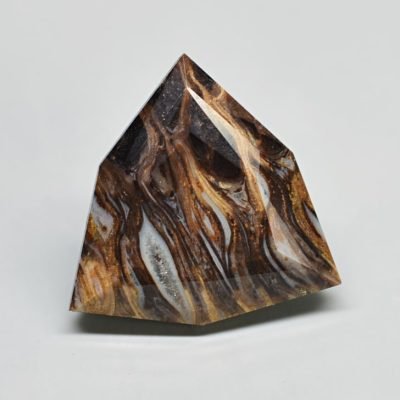Fossil-pine-cone-Araucaria-mirabilis-6.33-ct.jpg