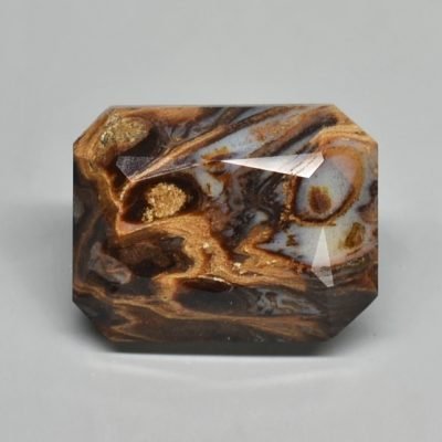 Fossil-pine-cone-Araucaria-mirabilis-6.57-ct.jpg