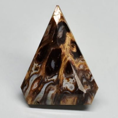 Fossil-pine-cone-Araucaria-mirabilis-7.07-ct.jpg