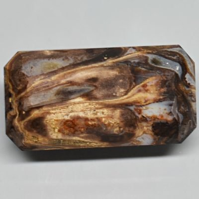 Fossil-pine-cone-Araucaria-mirabilis-8.61-ct.jpg