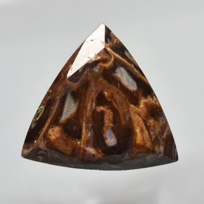 Fossil-pine-cone-Araucaria-mirabilis-8.93-ct.jpg
